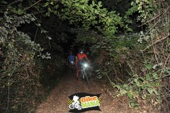 DSC_3521_risultato-Media