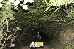 DSC_3723_risultato-Media