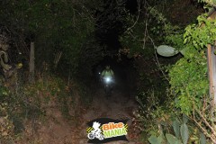 DSC_3808_risultato-Media