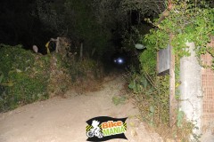 DSC_3810_risultato-Media